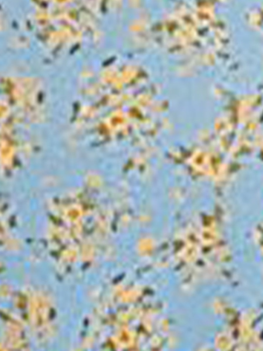 Aurelia Whisper | Ruffle Trim Floral Maxi Dress For Women